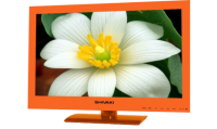SHIVAKI STV-24LEDGO9