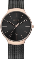 BERING 13338-262 BERING 13338-262