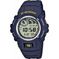 CASIO G-SHOCK G-2900F-2V CASIO G-SHOCK G-2900F-2V