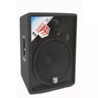 ES-ACOUSTIC 15 P4 ES-ACOUSTIC 15 P4