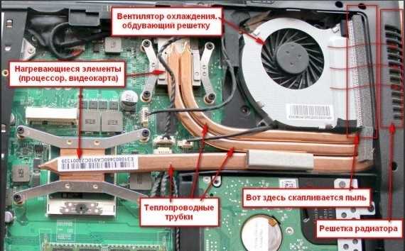 Если шумит ноутбук: решение проблемы по шагам