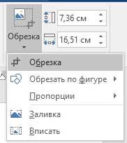 Как обрезать картинку в Word: урок от Бородача