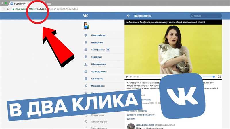 Как скачать видео с вконтакте (vk): лучшие программы и инструкция по скачиванию на компьютер — инструкции