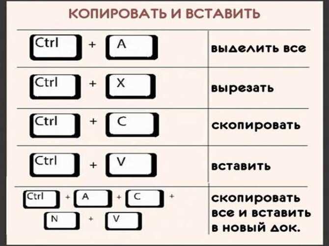 Как скопировать текст без мышки на ноутбуке? - Все инструкции и ...