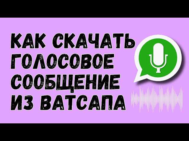 Как сохранить голосовое сообщение из WhatsApp: инструкция
