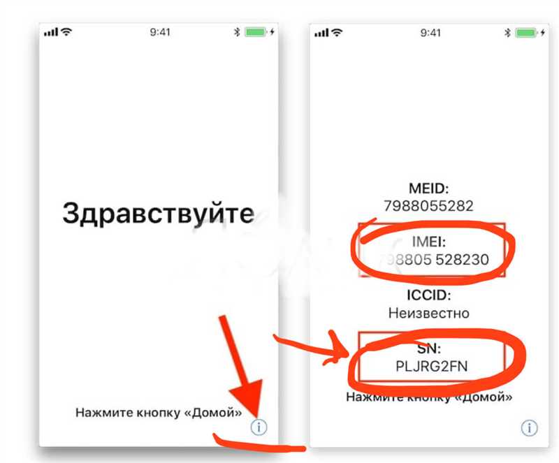 Как узнать дату активации iPhone
