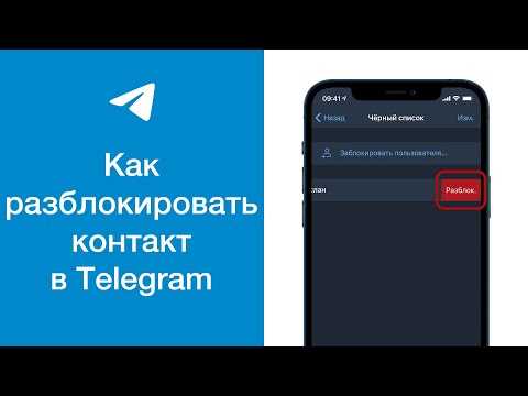 Как заблокировать контакт в Телеграмме: все о чёрном списке