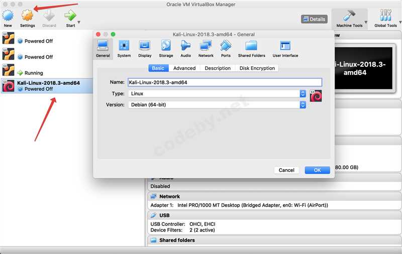 Кали Линукс: где находятся Shared Folders?
