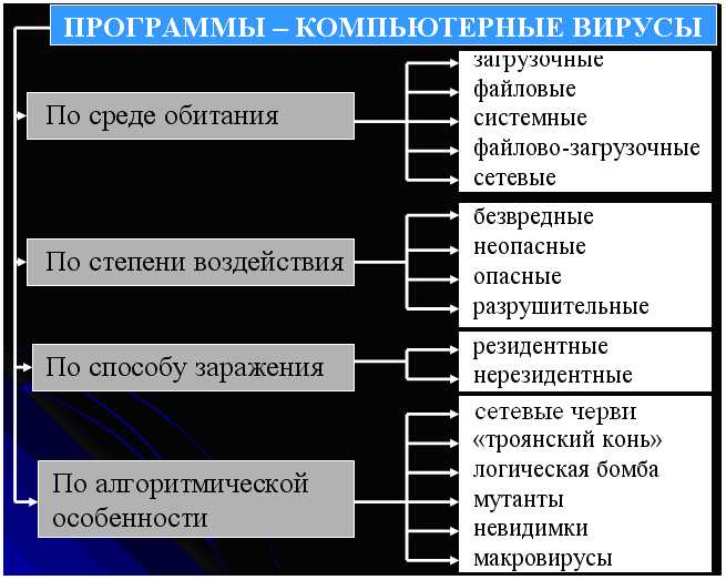 Компьютерные вирусы: классификация, что это такое, опасные виды