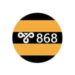 Ошибка 868 при подключении к интернету: есть решение