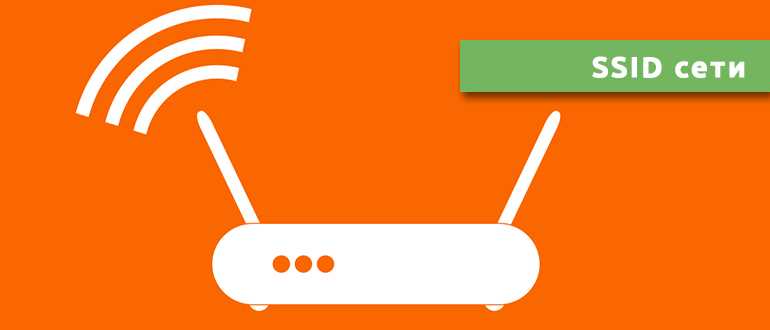 SSID сети: что это такое, как узнать свой SSID, скрытая и мульти-SSID