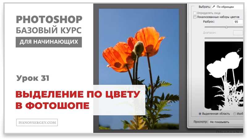 Выделение по цвету в Фотошопе: самое полезное